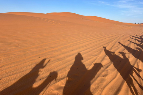 Marrakesh: Sahara Desert Tour From Marrakech 3D2N & Glamping Private Luxury Tour