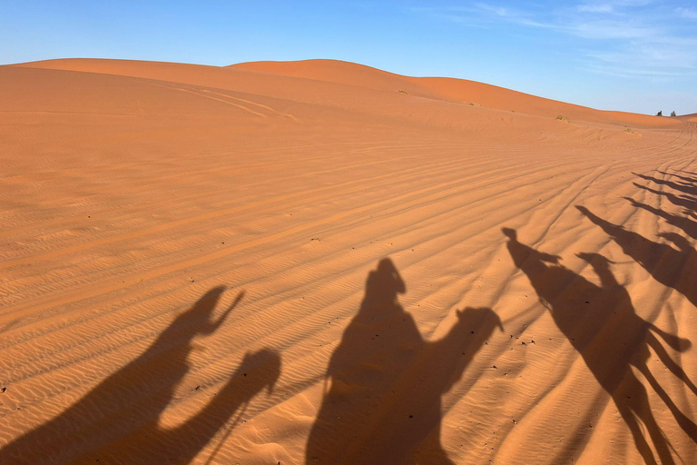 Marrakesh: Sahara Desert Tour From Marrakech 3D2N & Glamping Private Luxury Tour