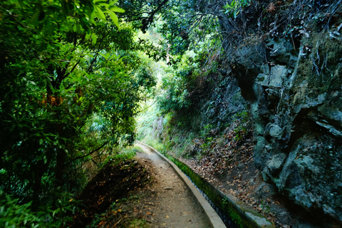 From Funchal: Levada Nova Hiking Tour with stopover at beach Nova friday