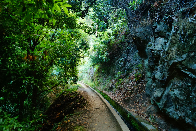 From Funchal: Levada Nova Hiking Tour with stopover at beach Nova friday