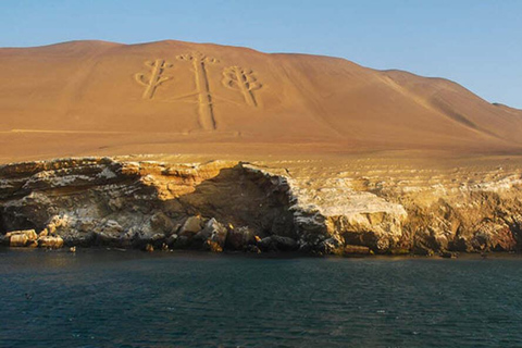 Réserve de Paracas : paysages, faune et histoire