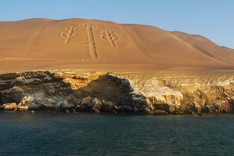 Réserve de Paracas : paysages, faune et histoire