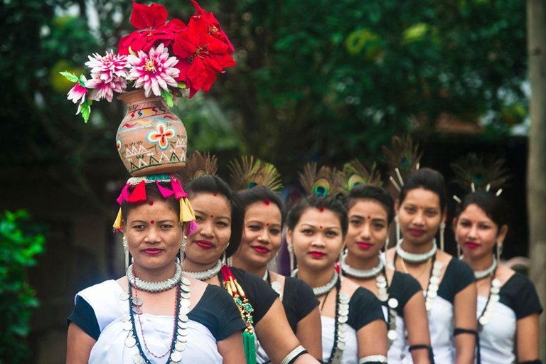 From Kathmandu: 7-Day Chitwan Safari & Pokhara Tour