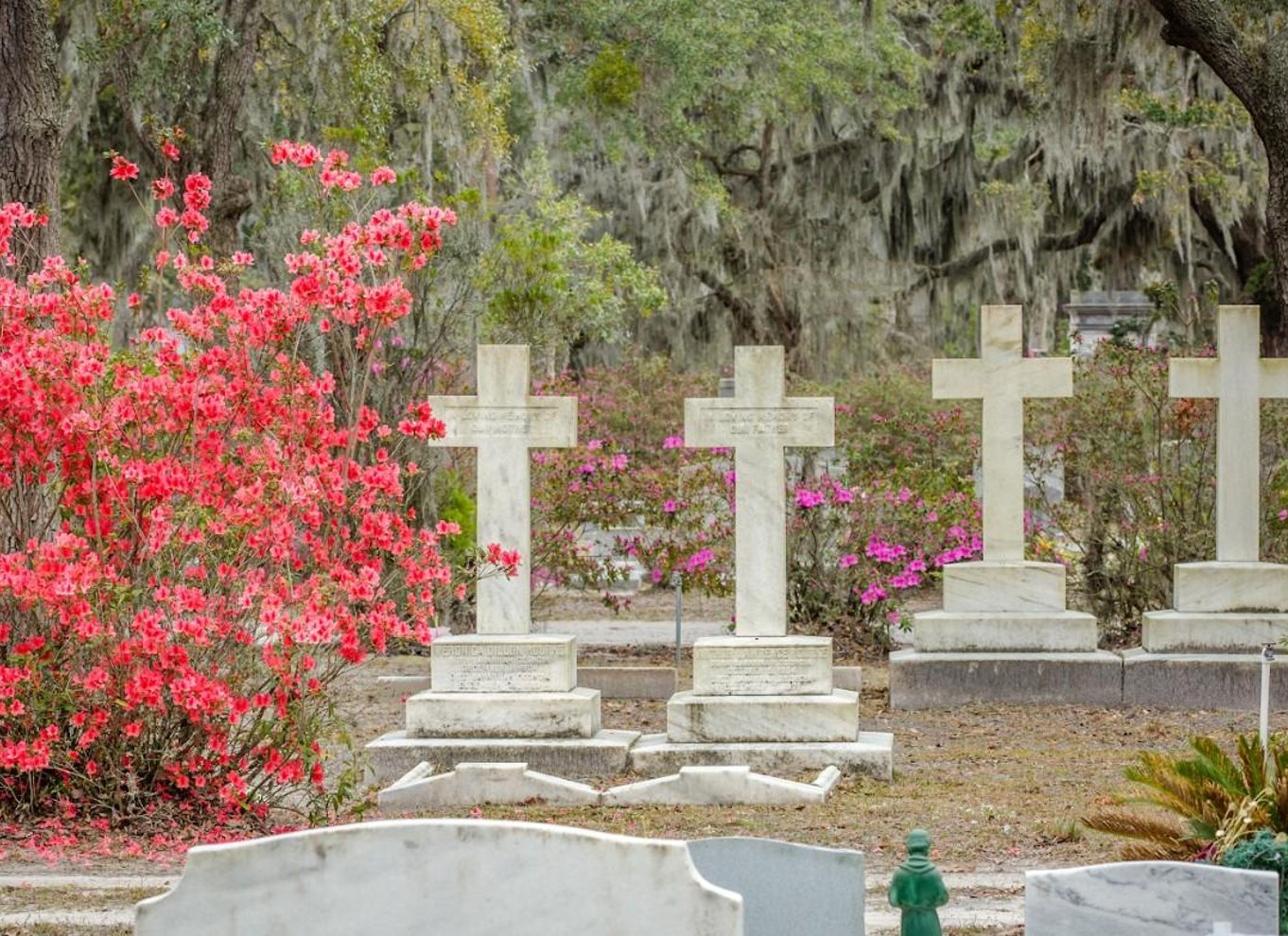 Rundvisning på Bonaventure-kirkegården og Wormsloe State Historic Site