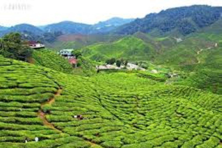 Nairobi: Ngong Hills, Giraffe Center, and Blixen Tour