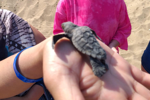 The Super Team : Akamas & Avakas Jeep Safari from Paphos