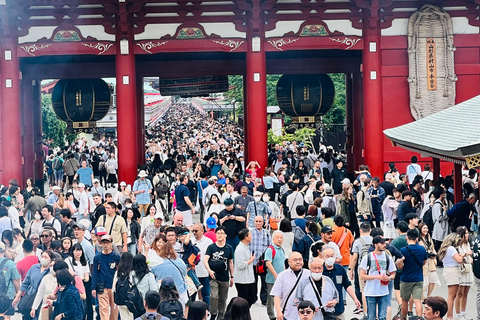 Excursion privée d&#039;une journée à Tokyo avec chauffeur/guide parlant anglais