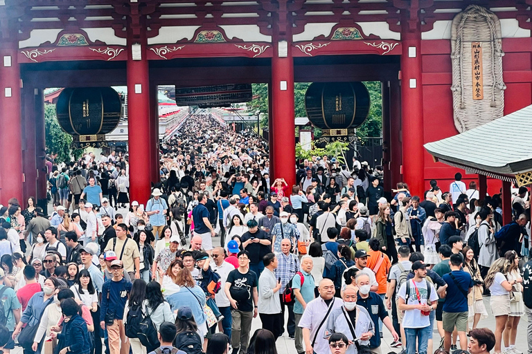 Tokio - całodniowa prywatna wycieczka z anglojęzycznym kierowcą/przewodnikiem