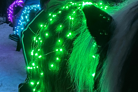 Levi: Glow Riding in the Winter Wonderland Incl. Pick Up from Levi at Design Hotel Levi