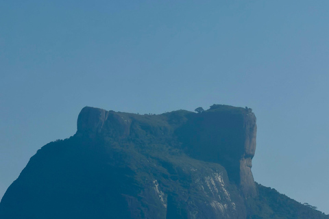 Two Brothers Hill (Morro Dois Irmaos) Hike + Snack with Cria Guide Hiking tour on Two Brothers Hill (Morro Dois Irmãos) + breakfast with local guide