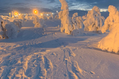 Levi: Snöskovandring: Tomtens stuga och picknick i natursköna omgivningar