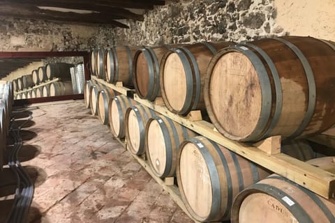 Private tasting wines &vineyards with hotel pickup hotel