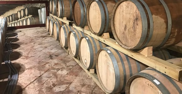 From Salou: Private Vineyard Wine Tasting with Hotel Pickup