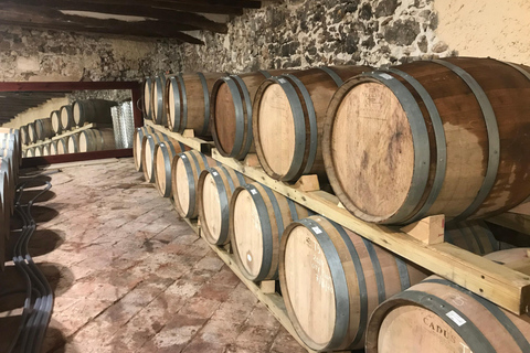 tasting wines in the vineyards with hotel pickup hotel Salou: tasting wines&vineyards with pickup hotel