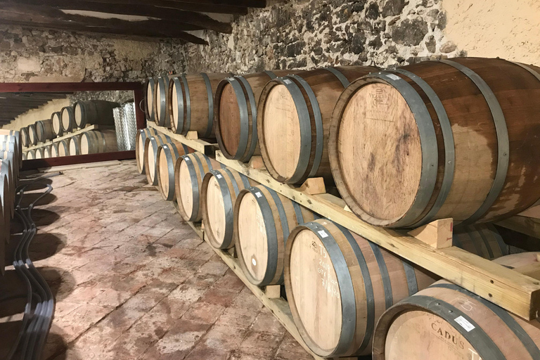 tasting wines in the vineyards with hotel pickup hotel Salou: tasting wines&vineyards with pickup hotel