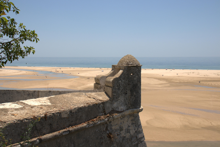 Algarve: Open Jeep Adventure, Flamingos & Ria Formosa Trip