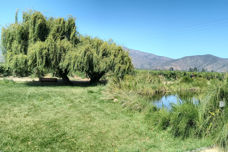 Wineries Tour in Casablanca Valley from Valparaiso Shared tour