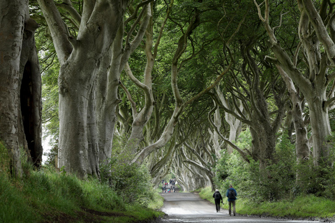 From Belfast: Giant&#039;s Causeway and Game of Thrones TourLuxury Mercedes for 1-3 people