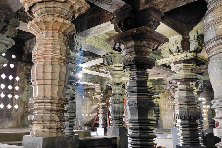 From Bangalore: 2-Day Chikkamagaluru: Temples & Safari