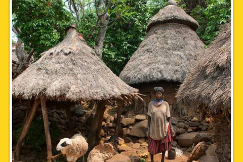 Von Arbaminch: 2-tägige Tour zum Dorf Dorze und zum Dorf Konso