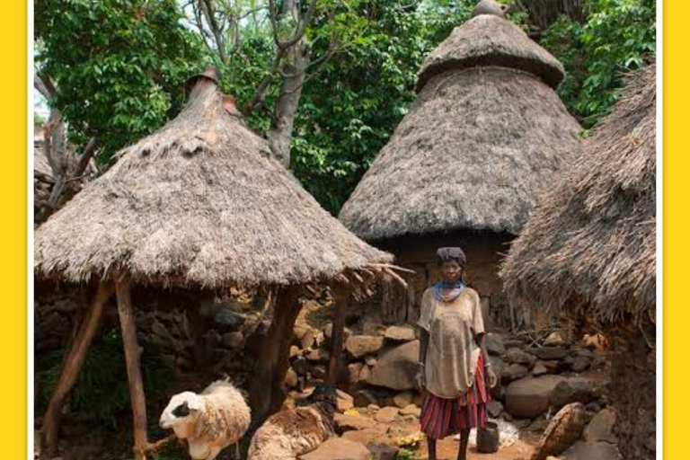 Von Arbaminch: 2-tägige Tour zum Dorf Dorze und zum Dorf Konso