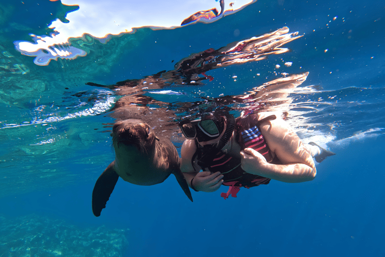 La Paz: Espiritu Santo Island Sea Lion Snorkeling