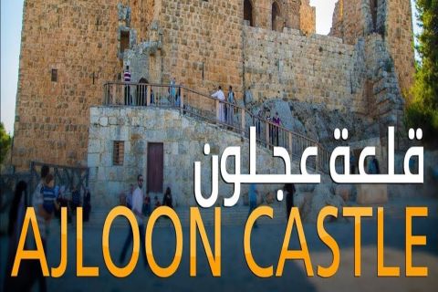 Au départ d'Amman : Jerash, Château d'Ajloun Um Qais - Visite privée