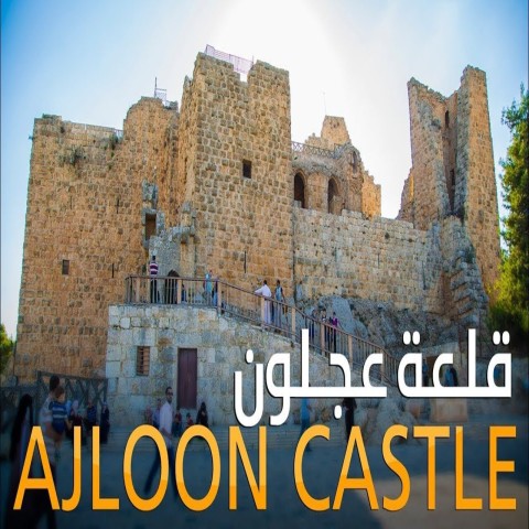 Vanuit Amman: Prive-tour door Jerash, kasteel Ajloun en Um Qais