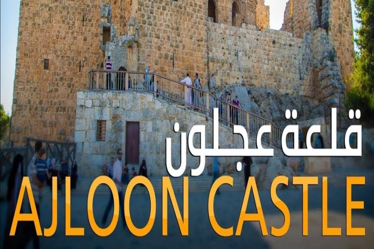 Von Amman aus: Jerash, Ajloun Burg Um Qais Private TourVon Amman aus: Jerash, Burg Ajloun Private Tour