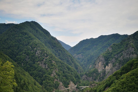 From Brașov: Transfăgărășan Scenic Drive & Poenari Tour From Brasov: Transfăgărășan & Bâlea Lake