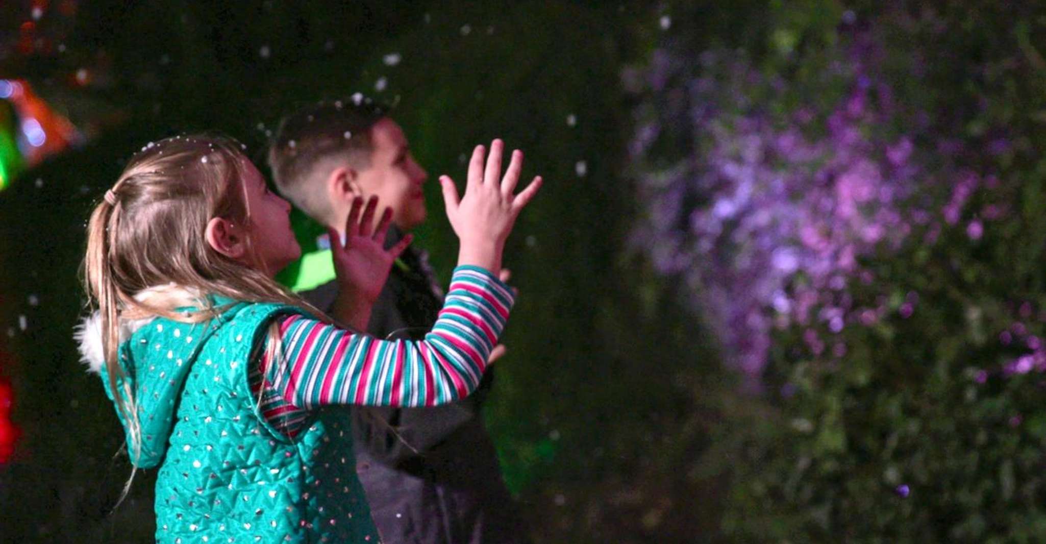 San Antonio, ogni giorno Zoo Entry e Zoo Lights Entry Ticket - Hizvo