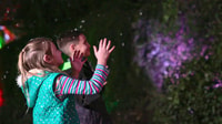 San Antonio, Any Day Zoo Entry und Zoo Lights Entry Ticket - Hizvo