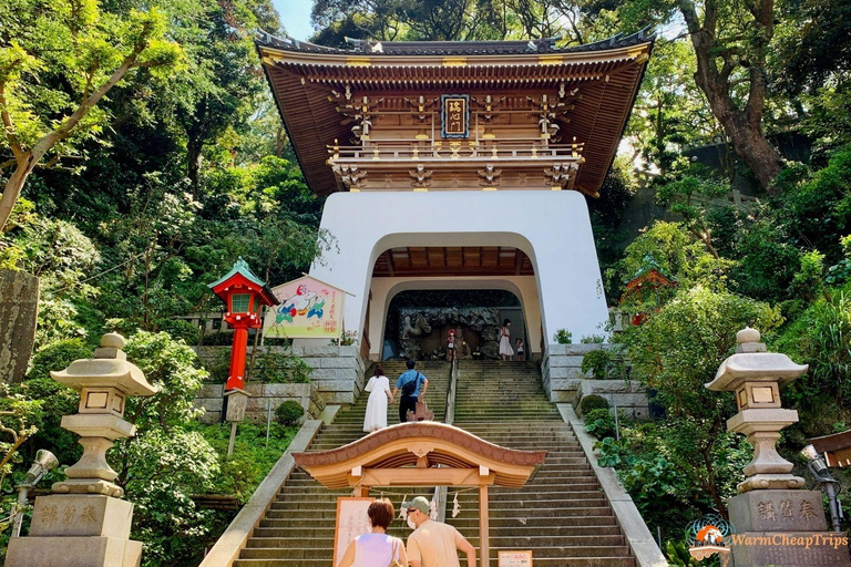 From Tokyo : Kamakura & Enoshima Island Private Day Trip