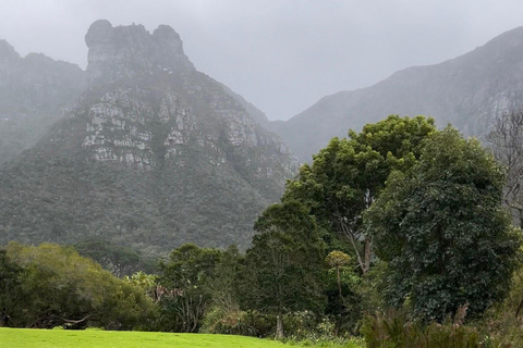 Kirstenbosch Garden eller Clifton Beach Picknick