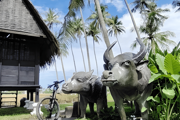 Butterworth: Guided Bike Ride to Kampung Agong