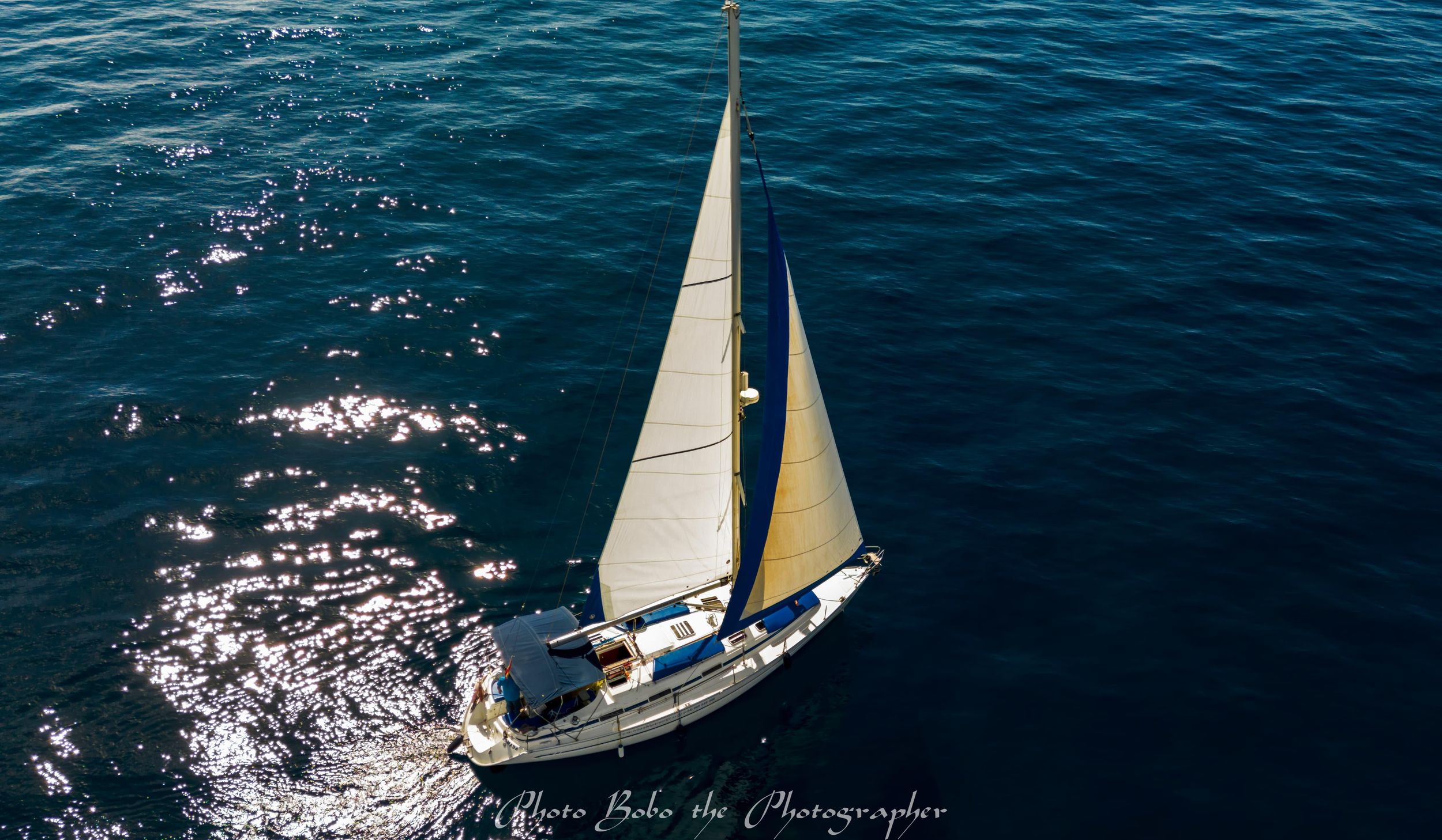 3-stündige private Walbeobachtungstour mit dem Segelboot in Puerto Colon-Teneriffa Süd
