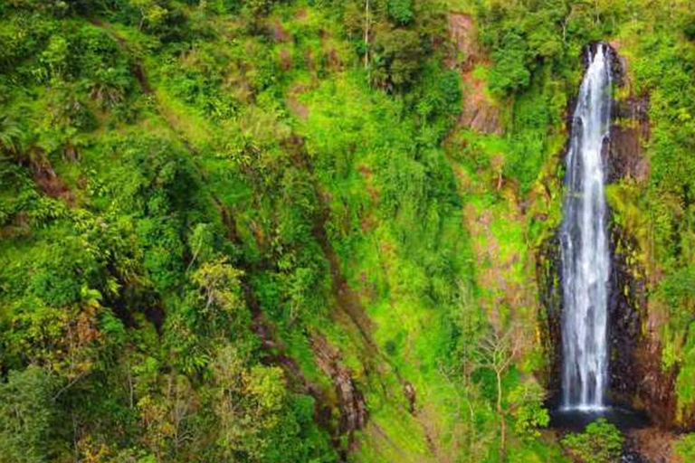 Arusha: Dagsutflykt till Mount Merus vattenfall med lunch