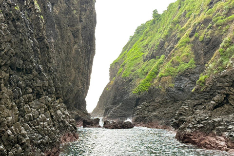 Banyuwangi:Day Tour of Jungle & Bedil Island With Snorkeling