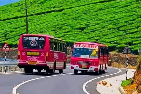 Excursion aller-retour d'une journée à Munnar, à partir de Kochi, comprenant tous les éléments essentiels