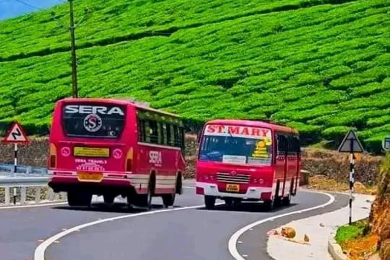 Excursion aller-retour d'une journée à Munnar, à partir de Kochi, comprenant tous les éléments essentiels