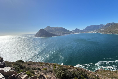 Cape Town: Table Mountain Cableway Ticket