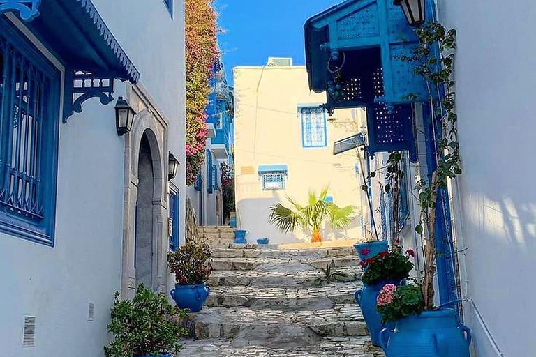 From Hammamet: Carthage, Sidi Bou Saïd & Medina, live guide + lunch From Hammamet: Carthage, Sidi Bou Said, and the Medina of Tunis