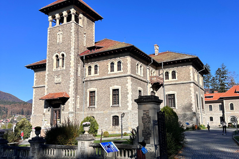 Brasov : châteaux de Peles et de Bran + excursion à l&#039;Académie Nevermore