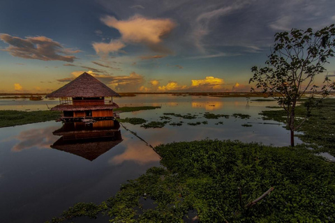 Ursprungsbefolkningens samhällen i Amazonasregionen Iquitos