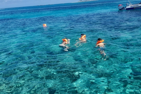 Wyspa Rose Half Day Snorkel, żółwie, pływające świnie