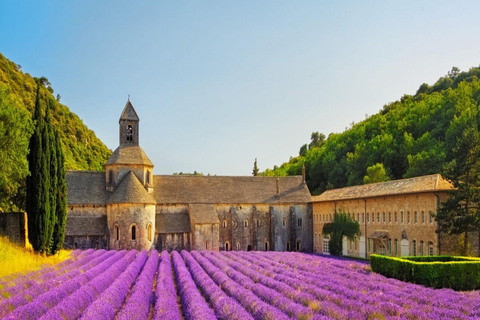 Day Trip: Lavender Fields & Gorges du Verdon LICENSED GUIDE + MERCEDES V