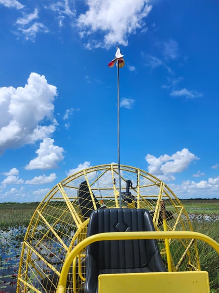 Miami: Excursión ecológica en hidrodeslizador por los Everglades con transporte de lujo