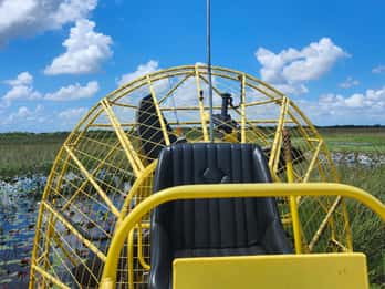 Miami: Everglades Airboat Eco Tour mit luxuriösem Transport