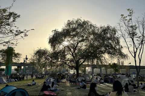 Seoul: Han River Sunset Picnic with Food and Night Walk