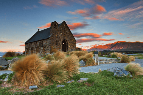 Christchurch : Aoraki/Mt Cook Day Trip with Trotts Garden